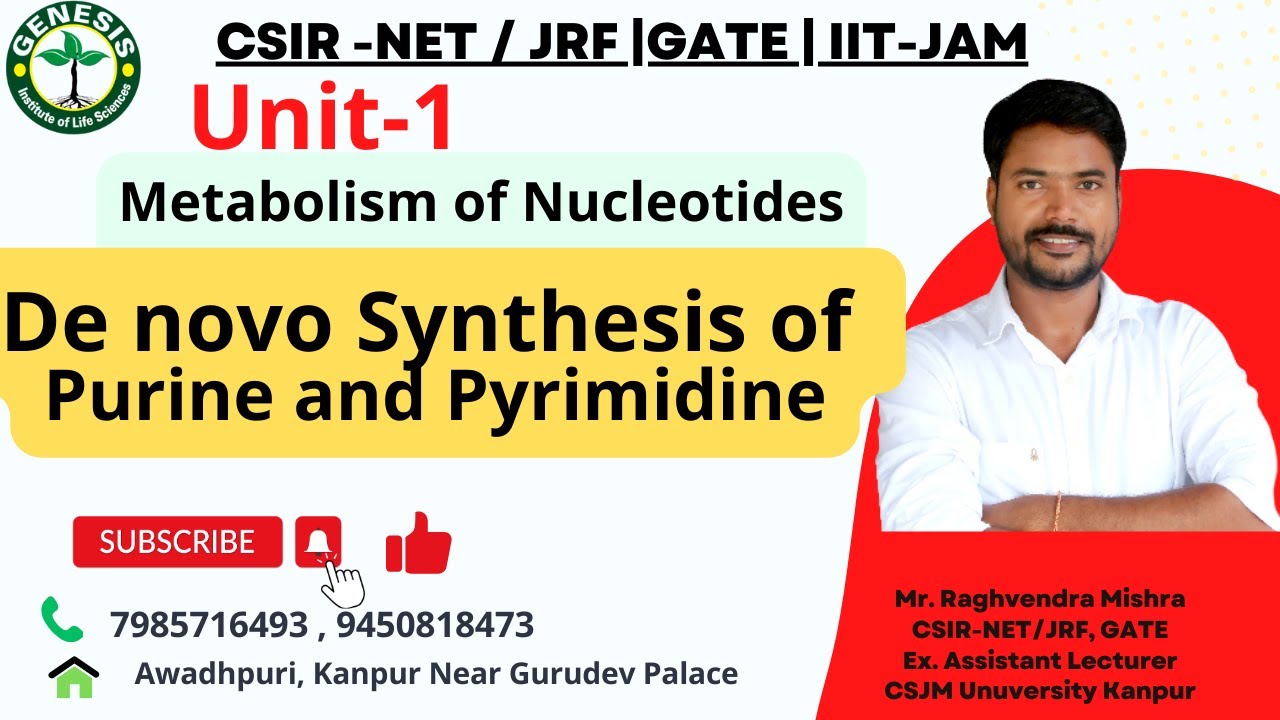 Metabolism of Nucleotides | De Novo Synthesis of Purine | L-22
