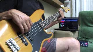 Savage Garden - Tears of Pearls  - Bass cover