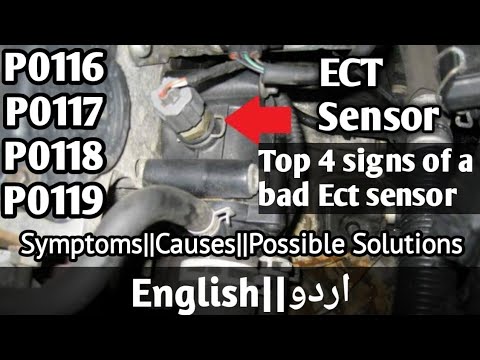 Top 4 signs of a bad ECT sensor||How to fix ECT sensor||P0116, P0117, P0118 or P0119||Urdu/English