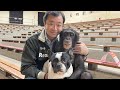 久しぶりに会ったチコリとプリンちゃん