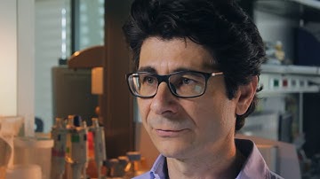 4DCellFate (FP7 European Collaboration Project) full movie