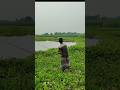 Amazing Reel Fishing in River 🎣 | Rural Fishing Adventure in Bangladesh . #shorts #fishingtips