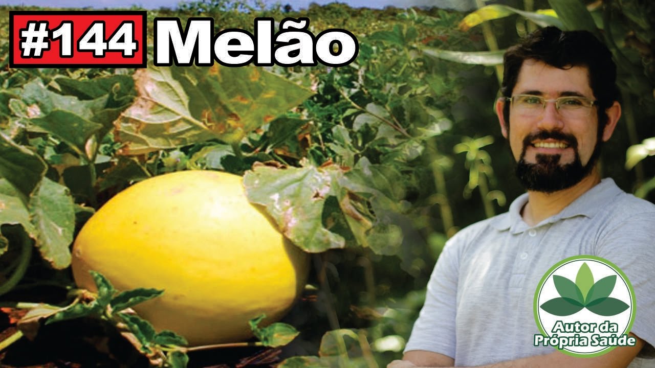 Autor da Própria Saúde - Melão [colesterol, obesidade, diabetes, hipertensão, câncer]