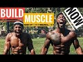 How to  build muscle | Increase pull up reps