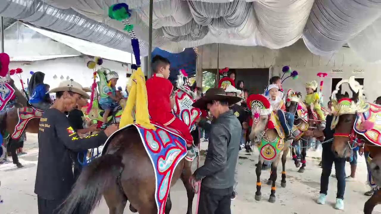 🔴LIVE CUTA MUDA HARI INI DI BABAKAN CEMPAKA SOLOKAN JERUK