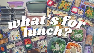WHATS FOR LUNCH? || WHAT I PACKED FOR LUNCHES LAST WEEK || ADULTS, KIDS, and TODDLERS