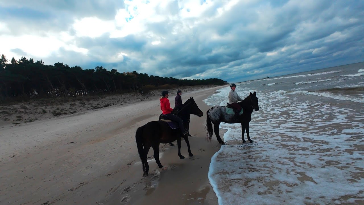 Autumn at the Baltic Sea | DJI Avata 2 + color grading | Jesień nad Bałtykiem