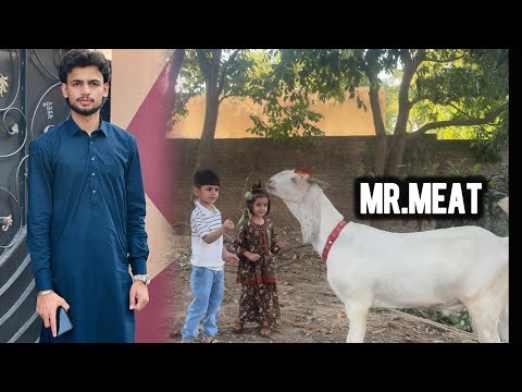 Bacho Ka Mr.Meat Quraban ho gya🥺/ Eid Ul Azha Mubarak ❤️