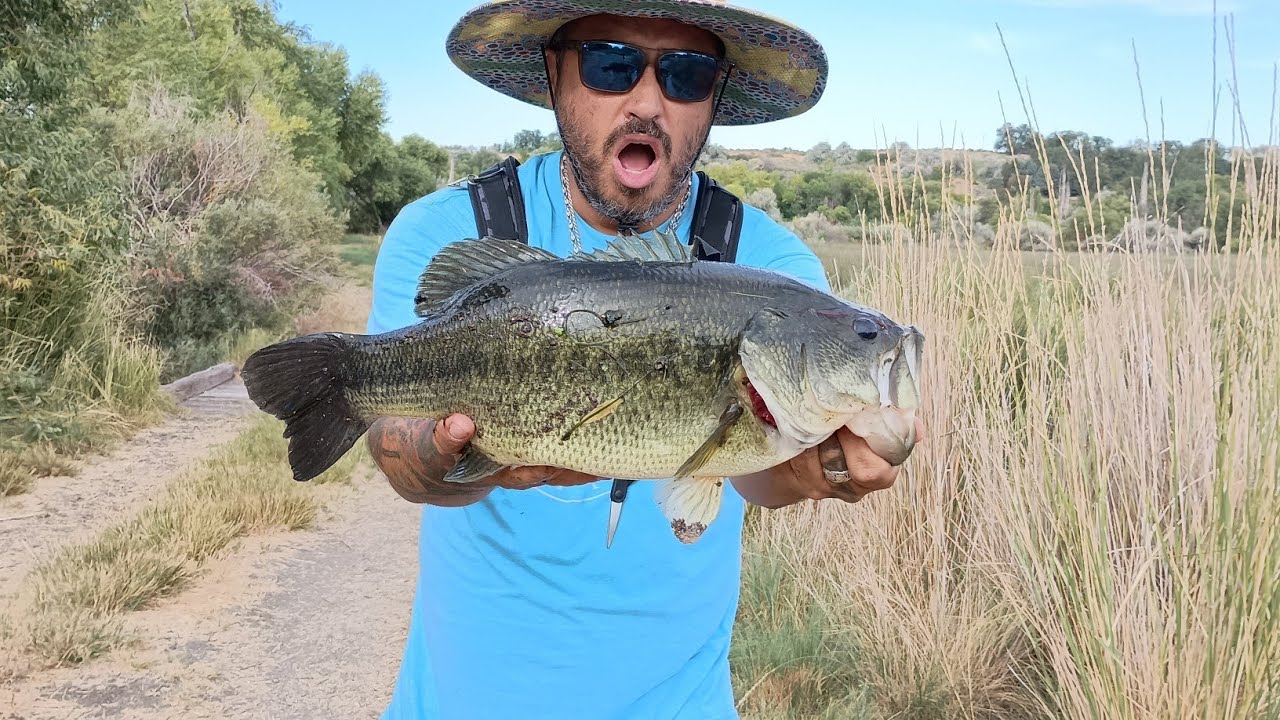 Epic Day of Bass Fishing (MEGA BASS) #idahofishing #bassfishing #idaho