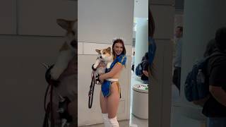 Scooter is so cute #dogs #dog #cute #youtubeshorts #rachelpizzolato #doggie #comiccon #cosplay #fyp