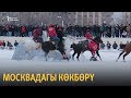 Москвадагы көкбөрү