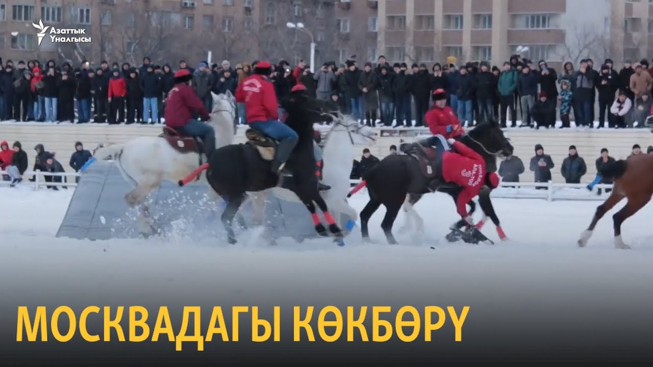 Москвадагы көкбөрү