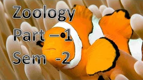 Kerala University BSc Botany previous questions -  ZOOLOGY - Part-1 ( sem - 2 )