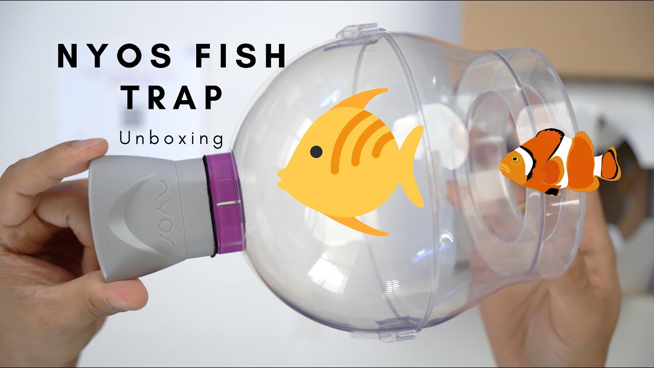 Nyos Fish Trap for Aquariums | Must See Design