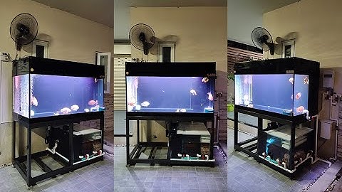 T สาย 2 โครงการ 2 - สลับที่ตู้ปลาเก่า ทำ O4FS ตู้ปลาใหม่ 3 ชุด 48"/2 ชั้น + 60" กรองล่าง Set 3