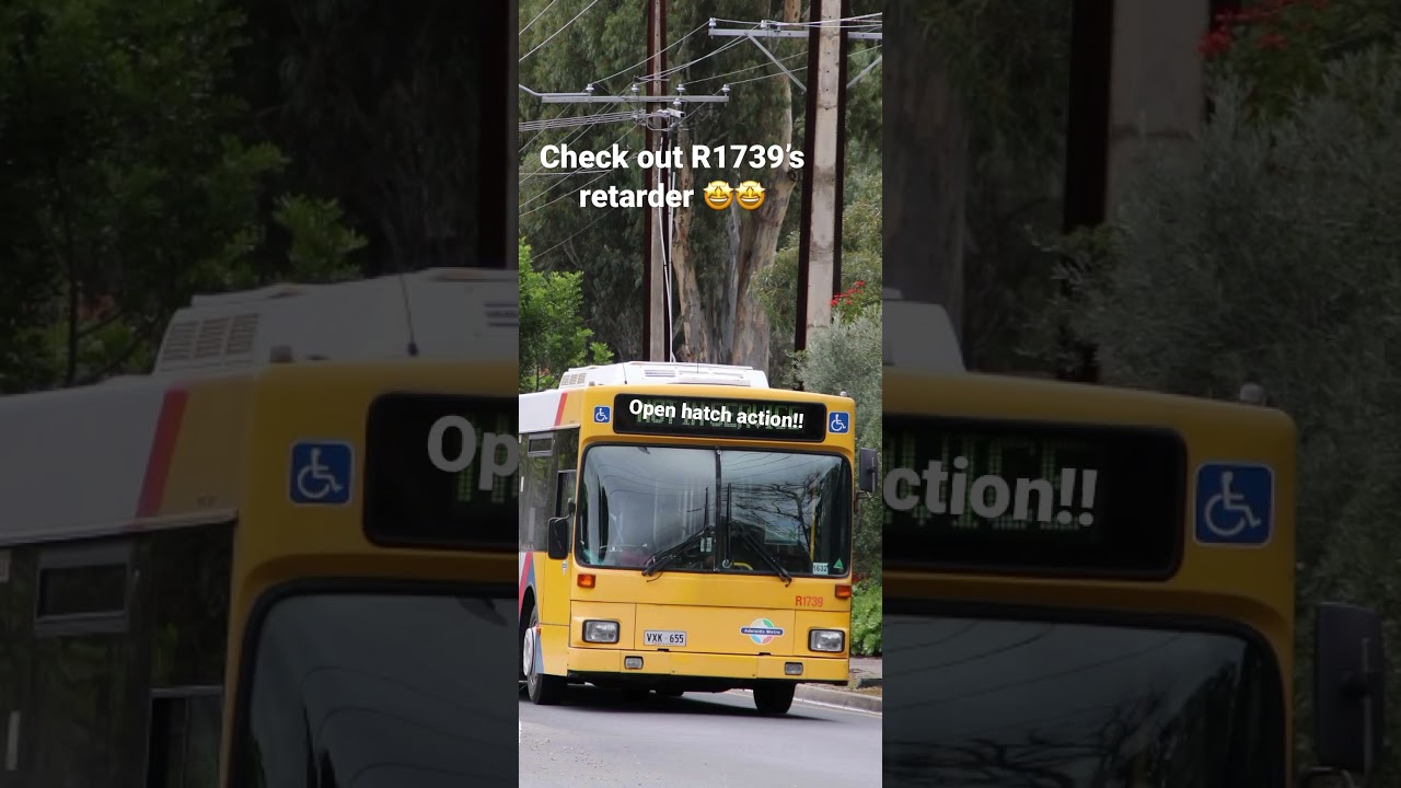 MAN NL202 Retarder R1739 - LOUD ZF Retarder!!