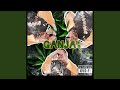 Ganja Mon