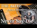 THE ALFEE/Never Say Die(アコギ)