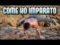 COME HO IMPARATO LA PLANCHE - Calisthenics - Andrea Mantello