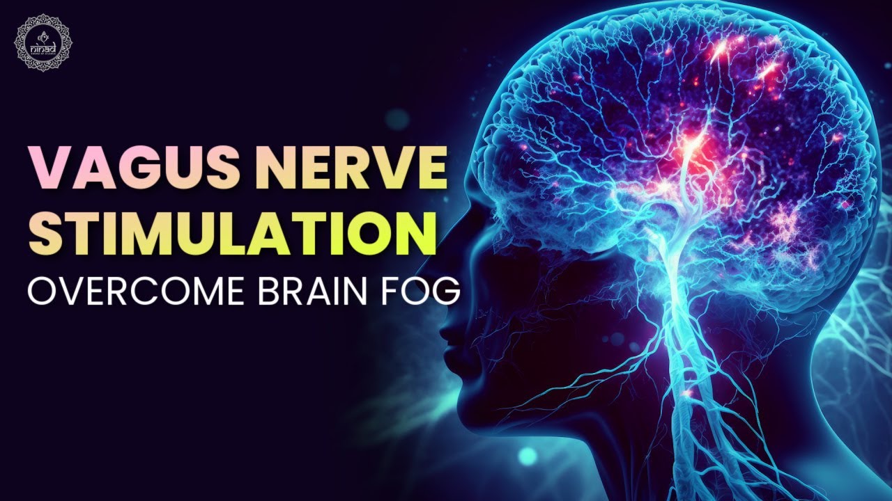 Vagal Music Meditation Vagus Nerve Stimulation Therapy