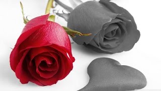 Adobe Photoshop Tutorial How to make Color Splash Effect