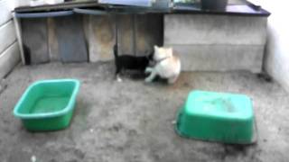 SDC10004.AVI