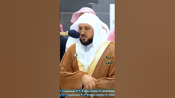 الشيخ ماهر المعيقلي.. من سورة المؤمنون