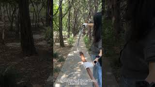 Crimson Ember Katana Folded 1095 Steel, Real Hamon & Hardwood Saya