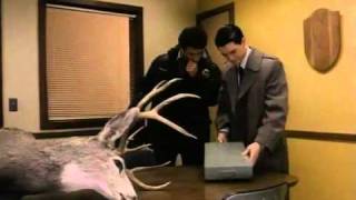 Twin Peaks (Pilot) - Scene with the deer
