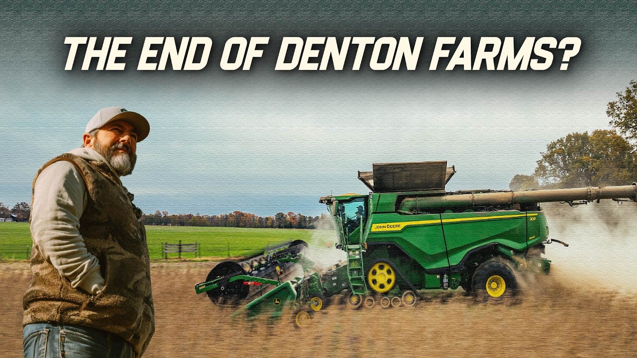 Прощай, ферма Дентон...