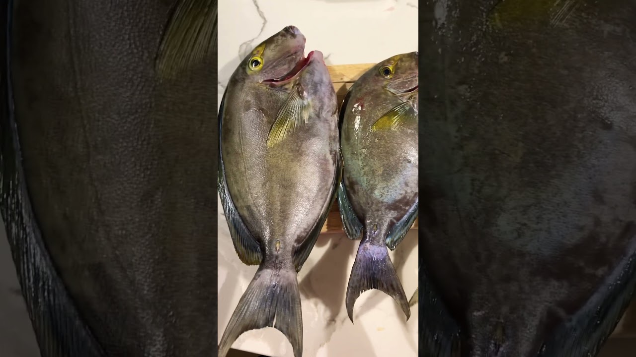 Best recipes for these please…thanks☺️🐟 