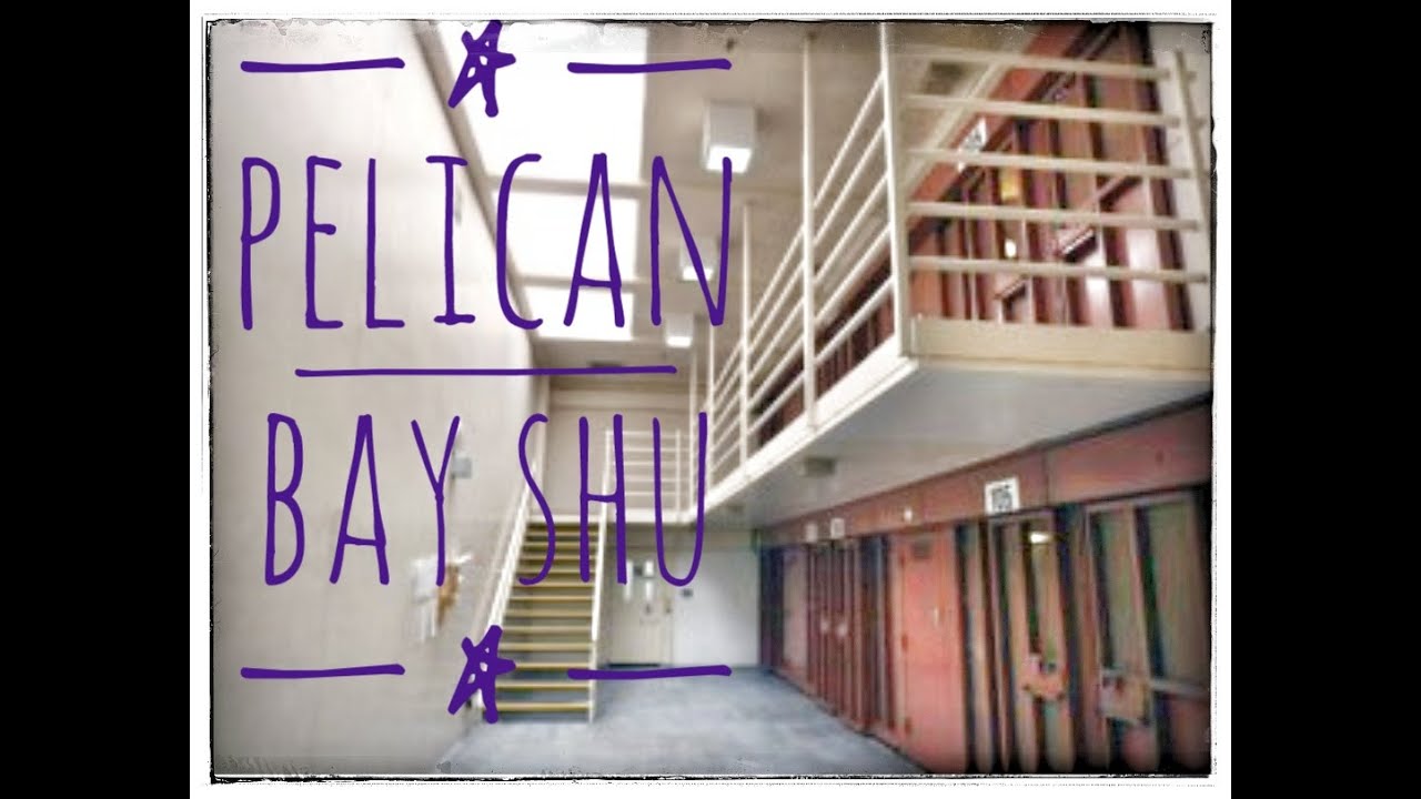 pelican-bay-shu-youtube