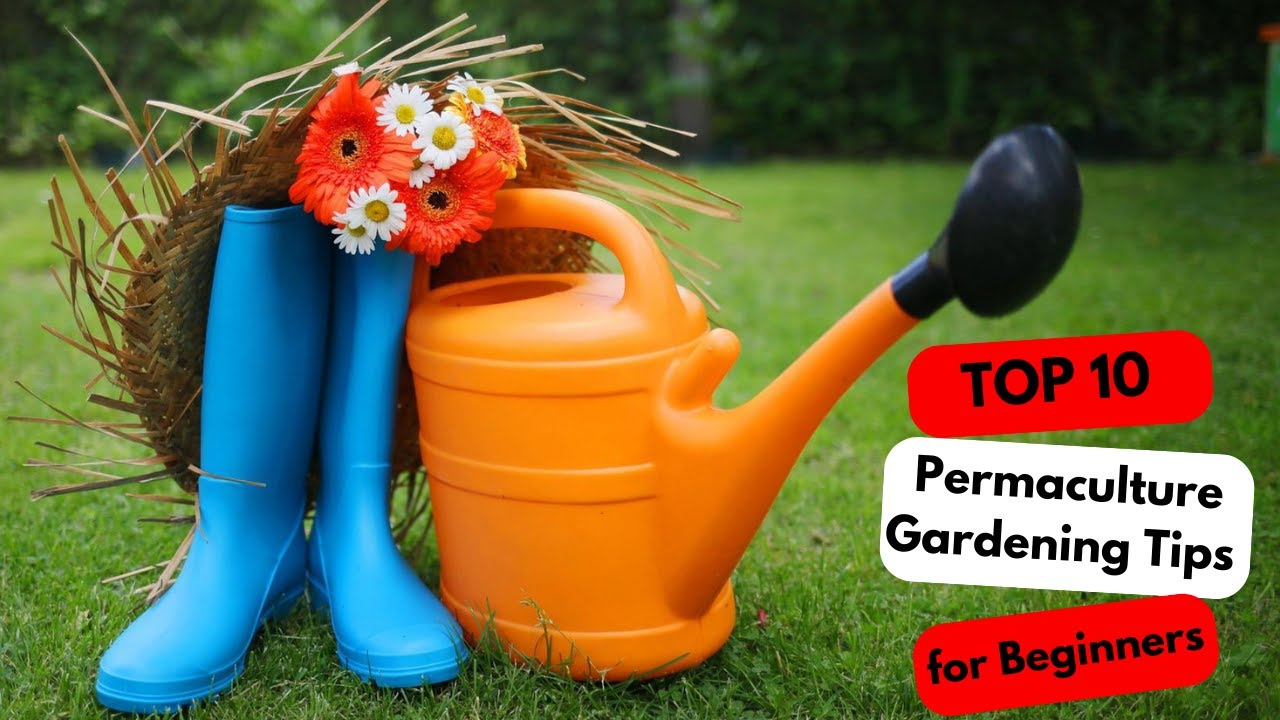 Picture of Top 10 Permaculture Gardening Tips For Beginners - YouTube