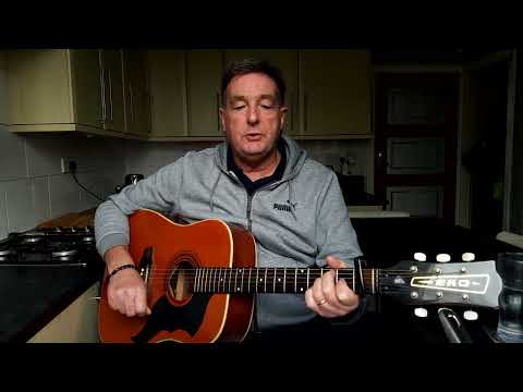 same thing happened to me / John prine