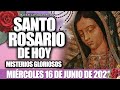 SANTO ROSARIO DE HOY MIÉRCOLES 16 DE JUNIO DEL 2021-MISTERIOS GLORIOSOS - ORACIÓN CATÓLICA OFICIAL