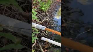 When Iron Bacteria Takes Over From Lack of Maintenance: Completely Clogged the Discharge Line Profile