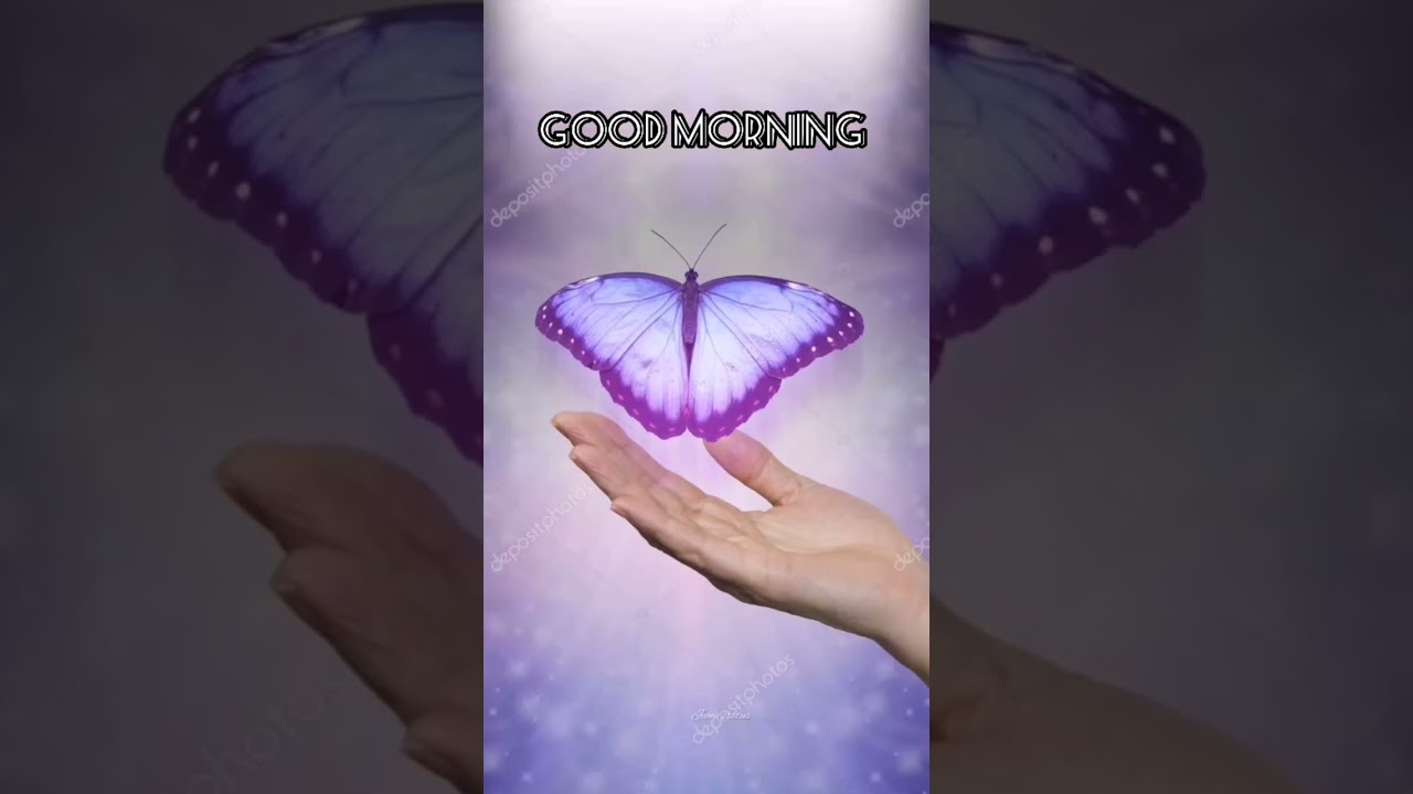 Good morning status 🤗 