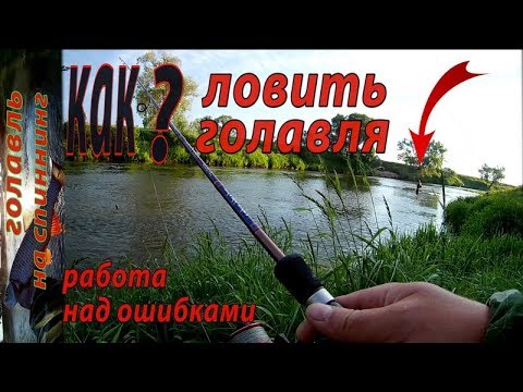 Ловля голавля на оке Ловля голавля на оке