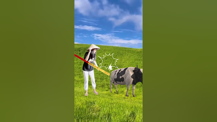 Đi chăn bò cầm cây roi thật tO #meme #shorts