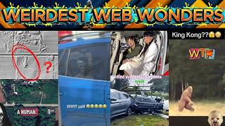 weirdest web wonders vol 258