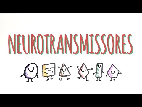 Vídeo: Diferença Entre Neurotransmissor E Neuromodulador