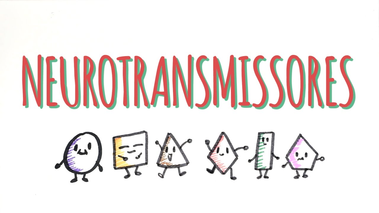 funções da serotonina e noradrenalina funções da serotonina e noradrenalina