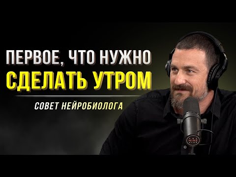 Распорядок Дня Нейробиолога. Делай Это Каждый День И Увидишь Невероятные Изменения!