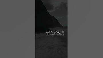 “ ألهاكم التكاثر حتى زرتم المقابر‌ ” | تلاوة تقشعر لها أبدان _ اللهم نسألك حسن الخاتمه