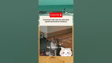 Cat Funny | Kucing Lucu #kucing #kucinglucu #cat #foryoupage