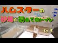 【ハムスター】ハムスターの砂場作りと初めてのトイレ設置で大興奮なみんた~毎回掃除が大変なのでトイレの設置をしてみた！~