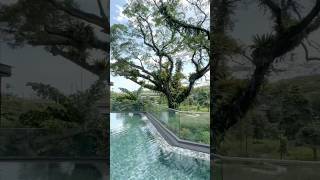 Rare Heritage 3 Bedroom Near Singapore For The Modern Family! Cool Interior Design Rare Heritage 3 Bedroom Near Singapore For The Modern Family! Cool Interior Design