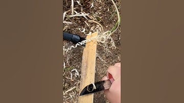 S#0097 ⚡ Morakniv Basic 511 Feather Stick Making Fuzz Stick Featherstick Curles Feathersticking