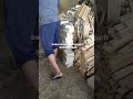 Minat stone wood work Direct from factory munufecturs #wood #stone #short #shorts #viralvideo