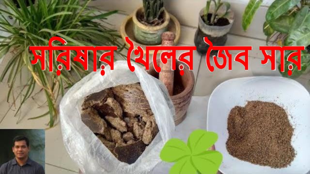 সরিষার খৈলের জৈব সার (Mustard cake organic Fertilizer) YouTube